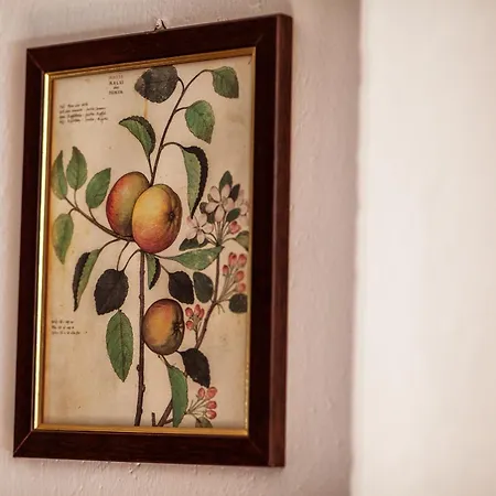 Il Faggio Apartment