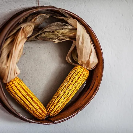 Il Faggio * Villar San Costanzo