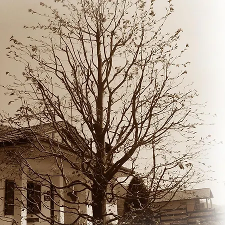 Appartement Il Faggio